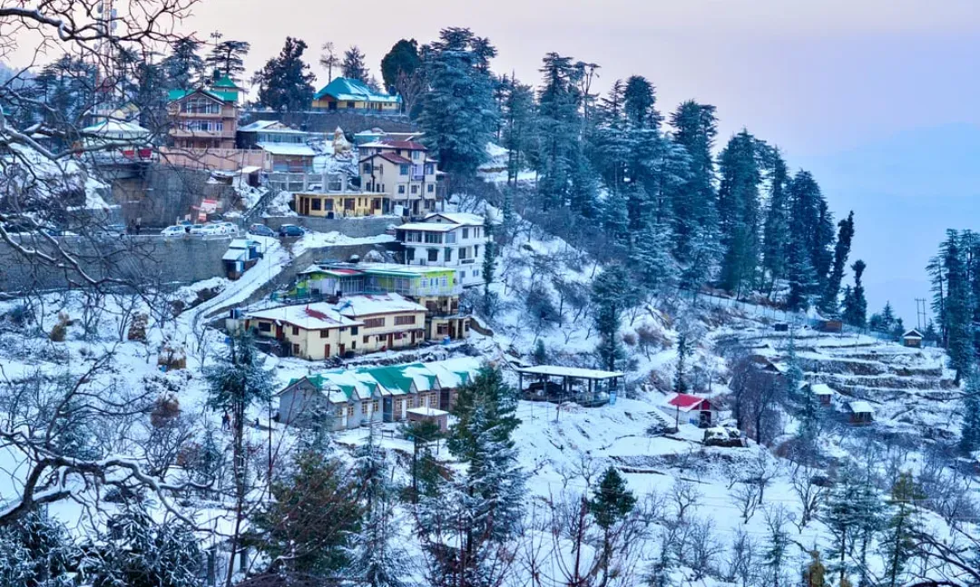 Shimla - Image 3